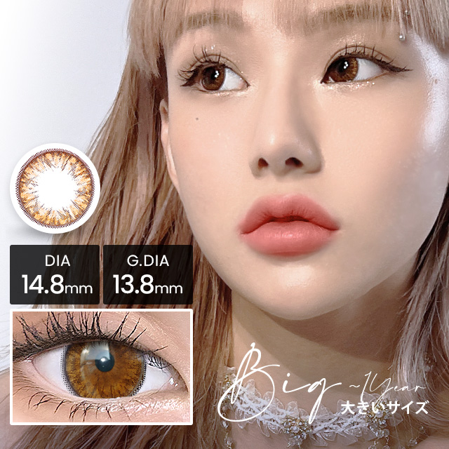 クラッシービックブラウン [1年用] 13.8mm Classy Big Brown