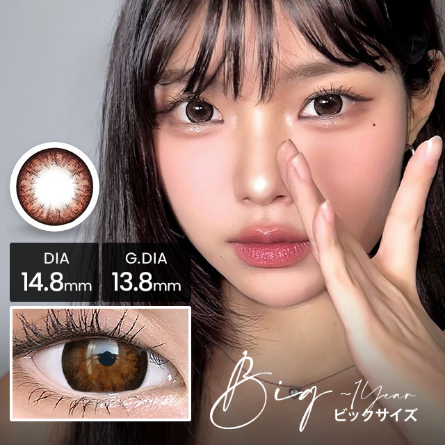クラッシービックチョコ [1年用] 13.8mm Classy Big Choco