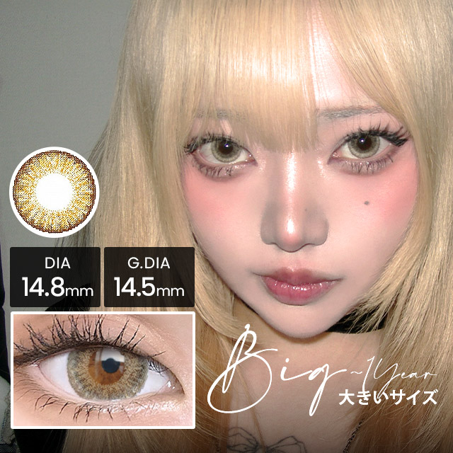 グラマラスビッグブラウン【1year/2枚】